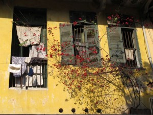 Fenster in Hanoi