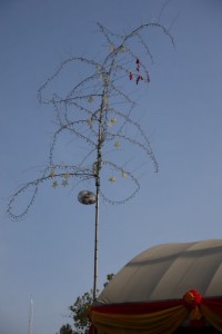 Kahler Weihnachtsbaum mit Stern