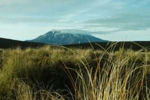 Blick zum Mount Ruapehu