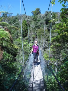 Schwingbrücke im Abel Tasman