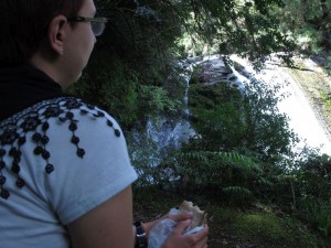 Mittagspause an den Aniwaniwa Falls