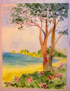 gemalt - Tokomaru Bay